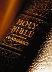Creator's Word